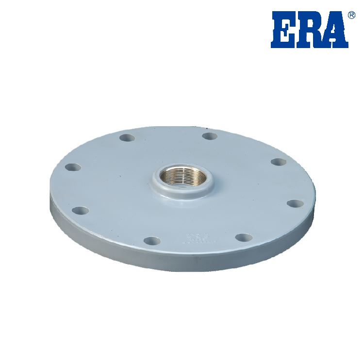 PVC Fittings With Gasket Cooper Screw Blank Flange