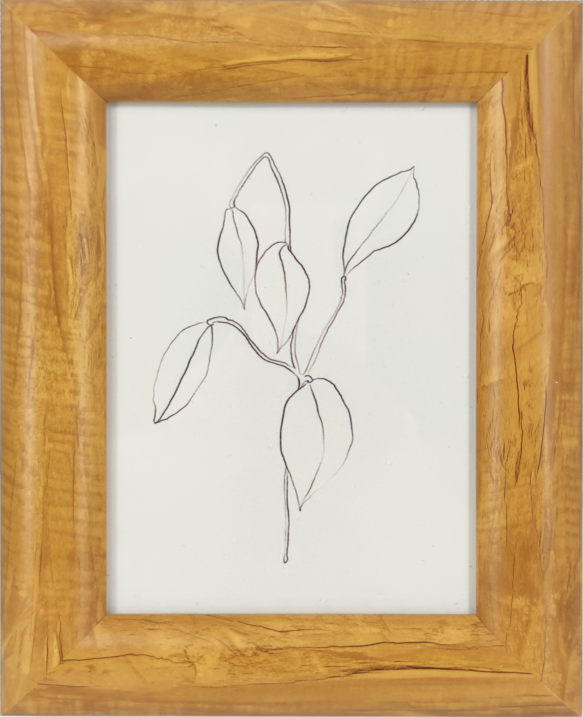 160x210x16mm Wall Art Poster Print Framed Print Framed Art