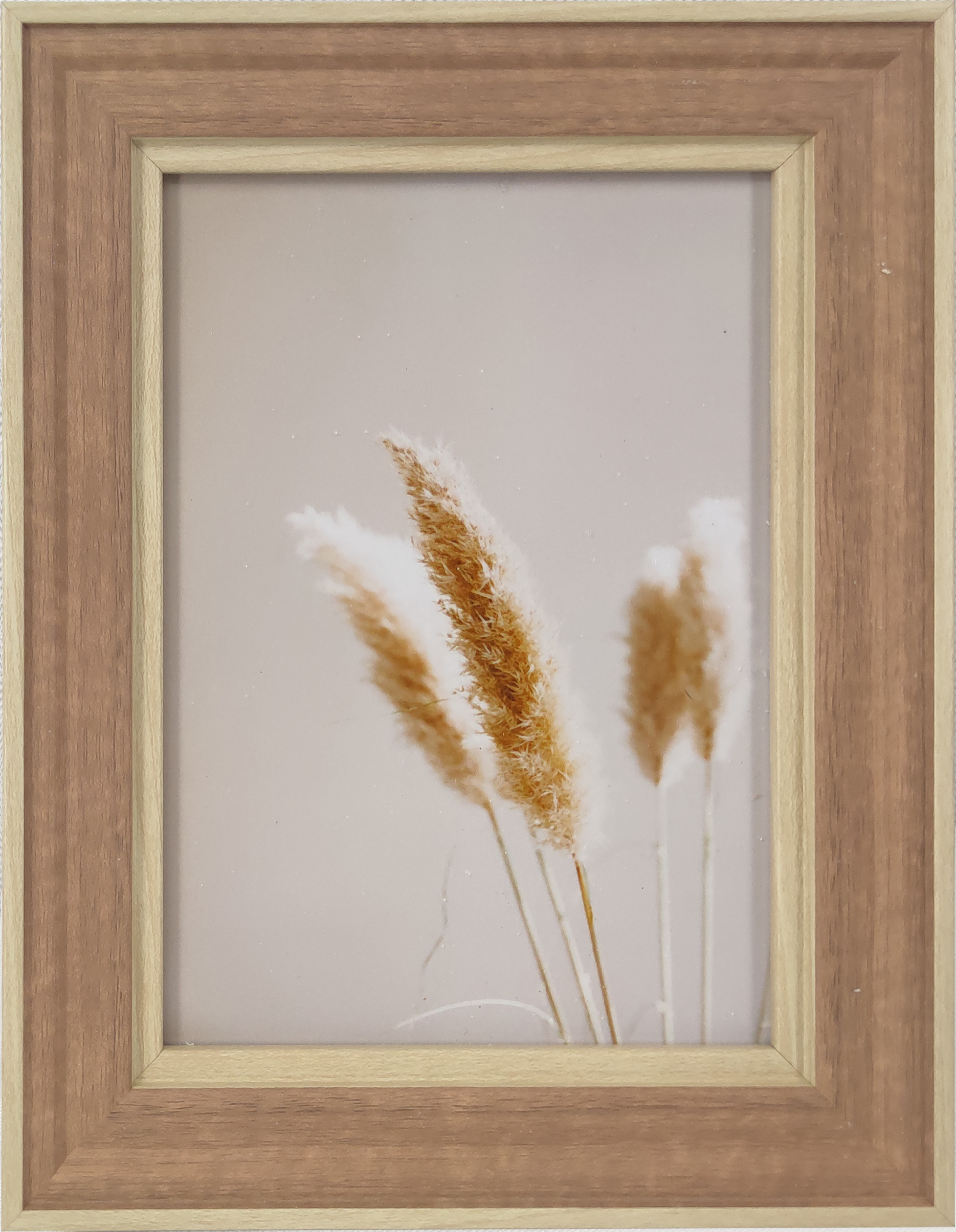156x206x19mm Wall Art Poster Print Framed Print Framed Art