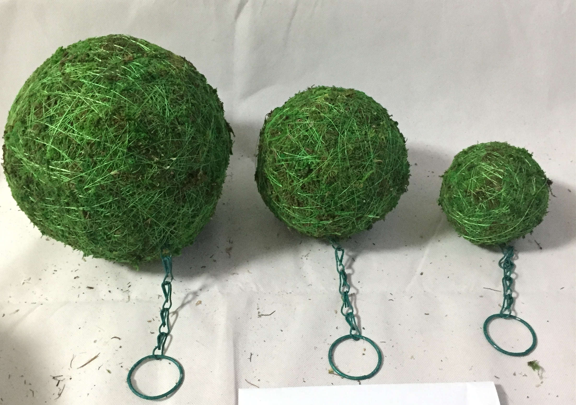 D9cm Moss Hanging ball scculent planting ballball