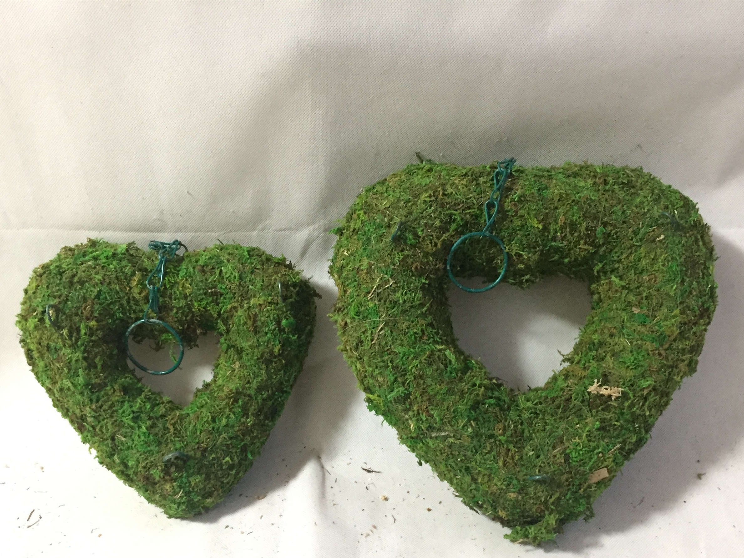 D25cm Moss Heart Hanging ring scculent planting ring