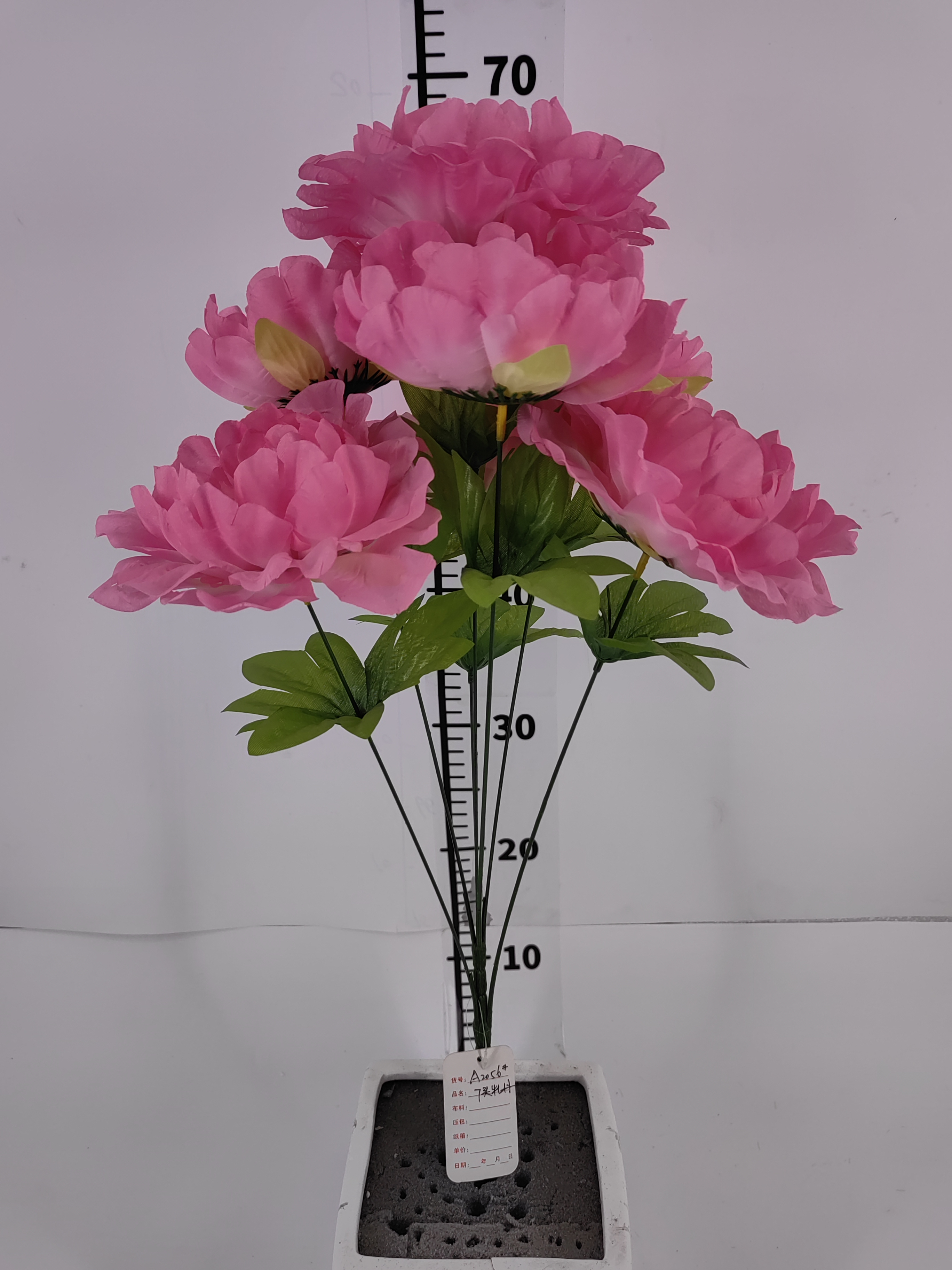 7 peony flowers