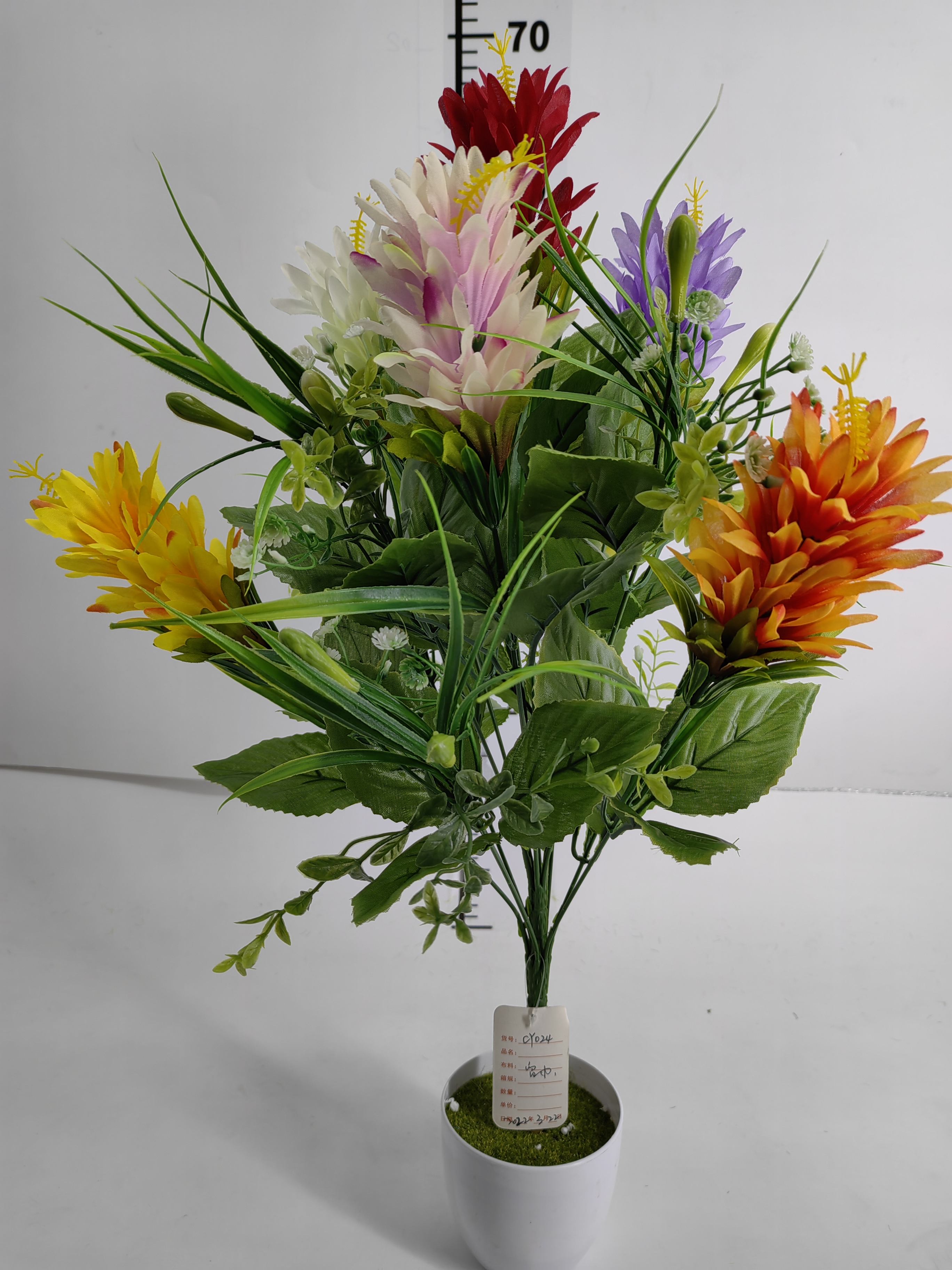 13 head of chrysanthemum