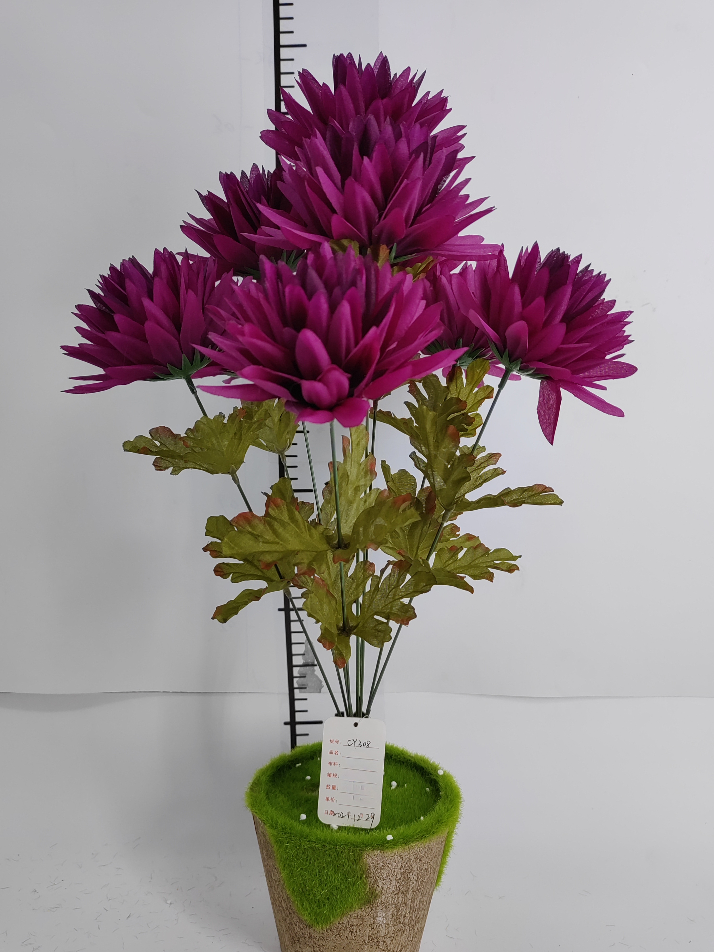 9 head needle chrysanthemum
