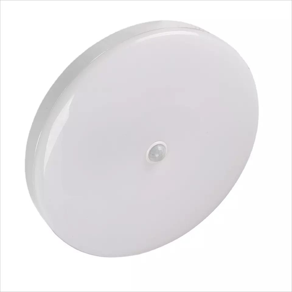 Ceiling light