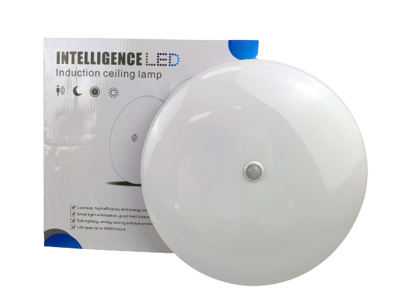Ceiling light