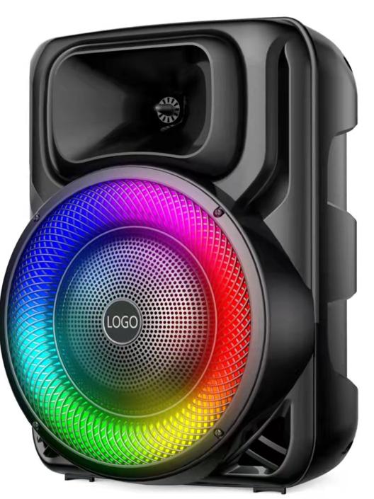 Hoxen Pofessional Design Manufacturer 2*6.5 Inch Woofer+Twitter Trolley Speaker