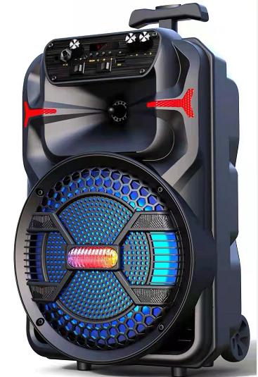 Hoxen Pofessional Design Manufacturer 2*6.5 Inch Woofer+Twitter Trolley Speaker