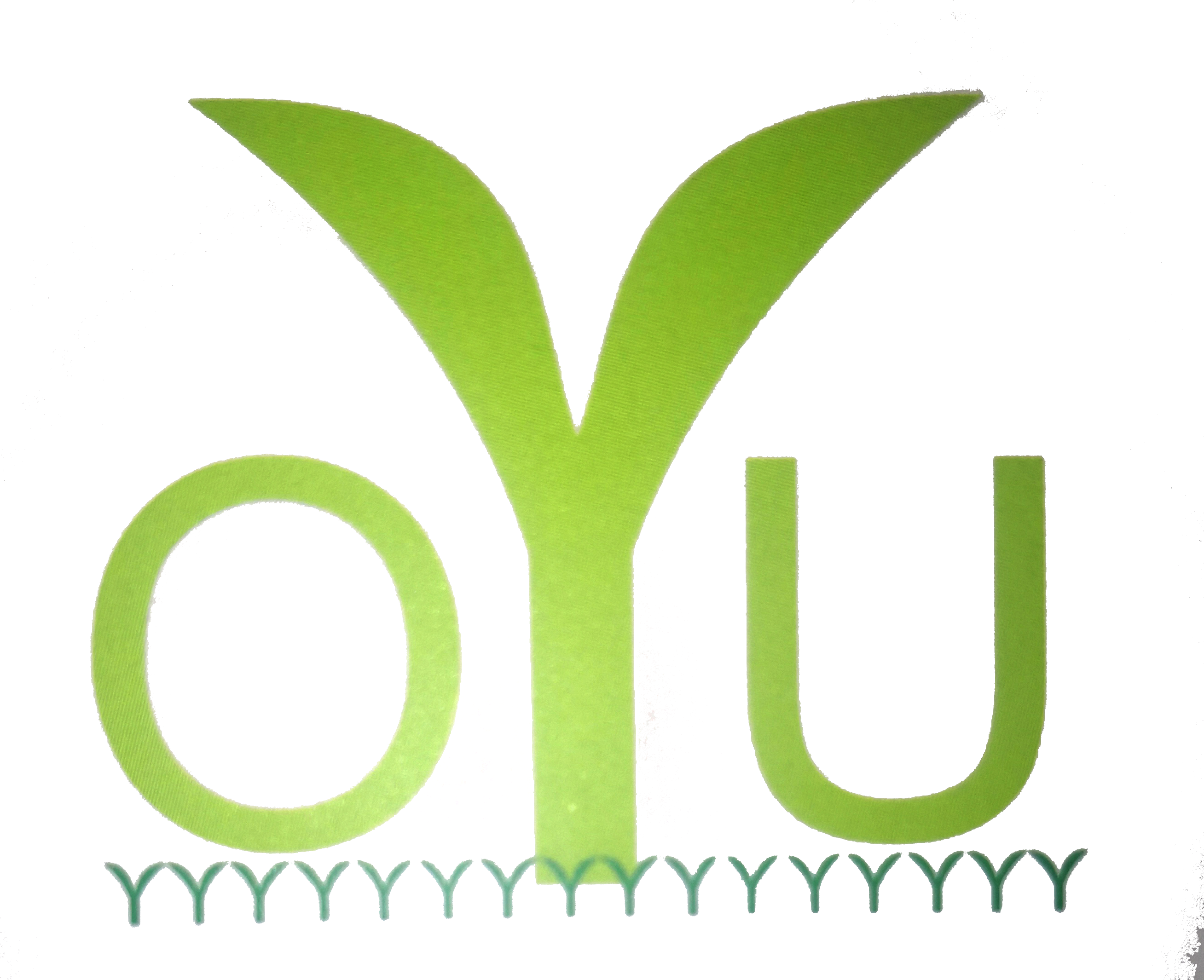 DONGGUAN OUYU IMPORTS AND EXPORTS TRADING CO.,LTD