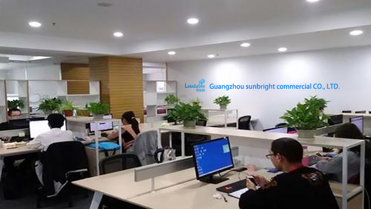 Guangzhou Lebao Daily Necessities Co., Ltd. – Other home decorations 1