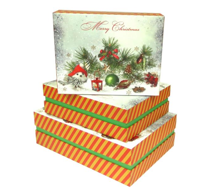 Christmas rectangle gift box