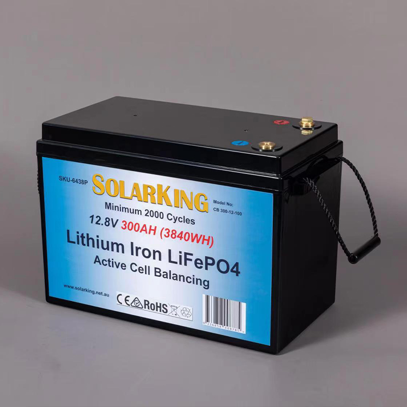 Shenzhen Qingheng Yong Hardware Tools Co., Ltd. – Lithium-ion battery 1