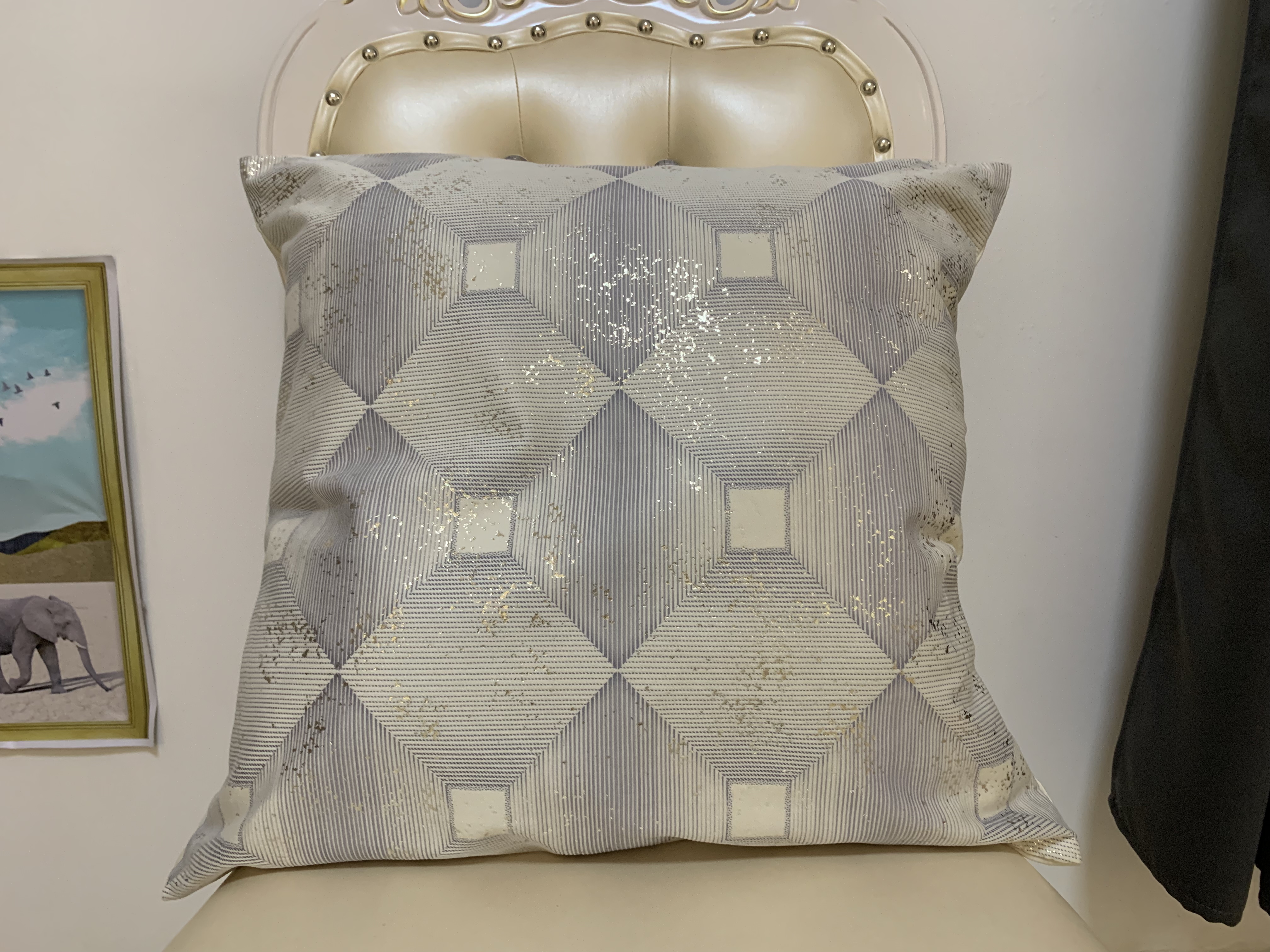 cushion/cushion cover