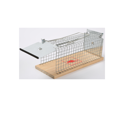 Mouse trap, Mouse catch, Rat Trap