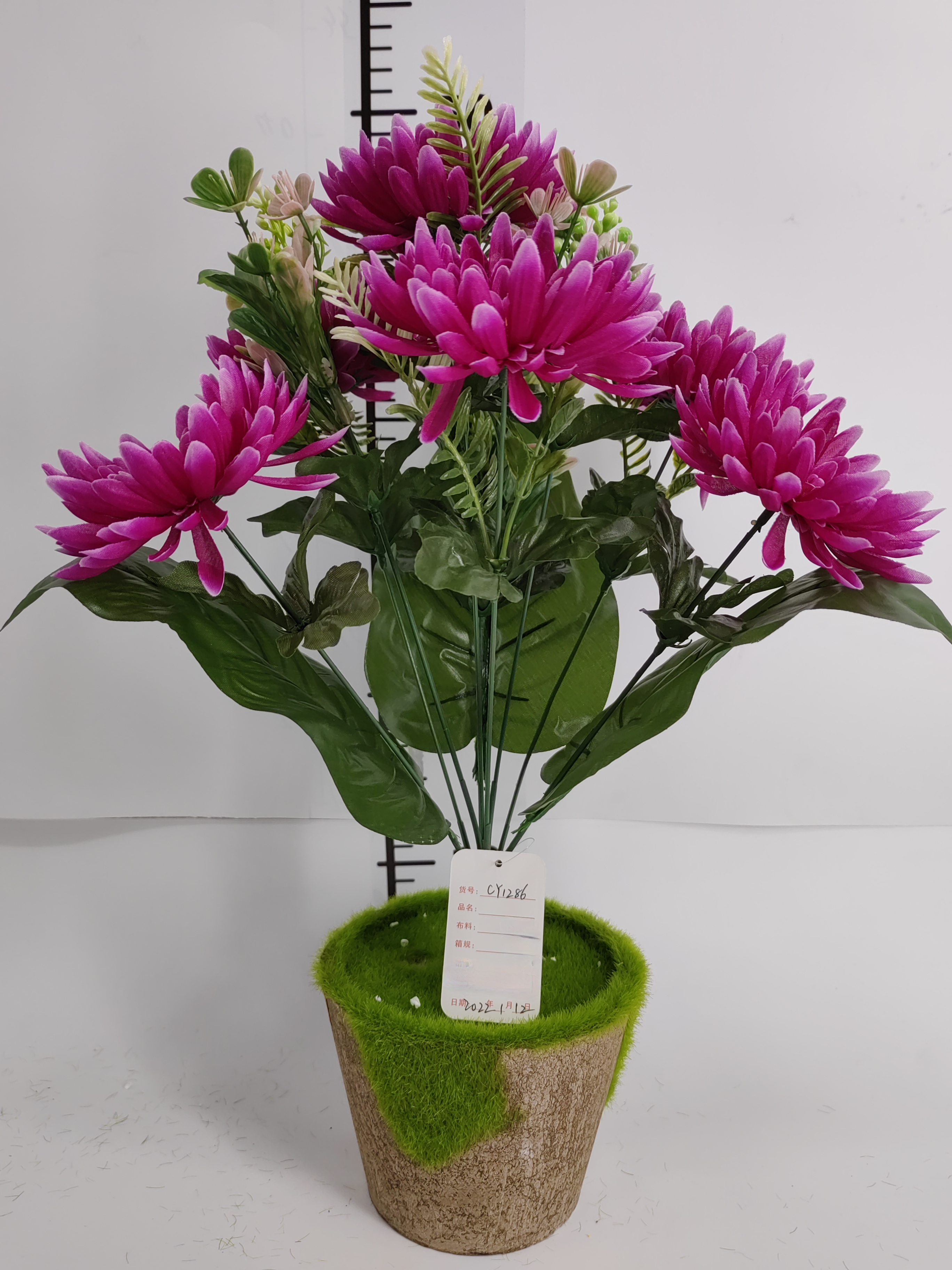 9 the chrysanthemum
