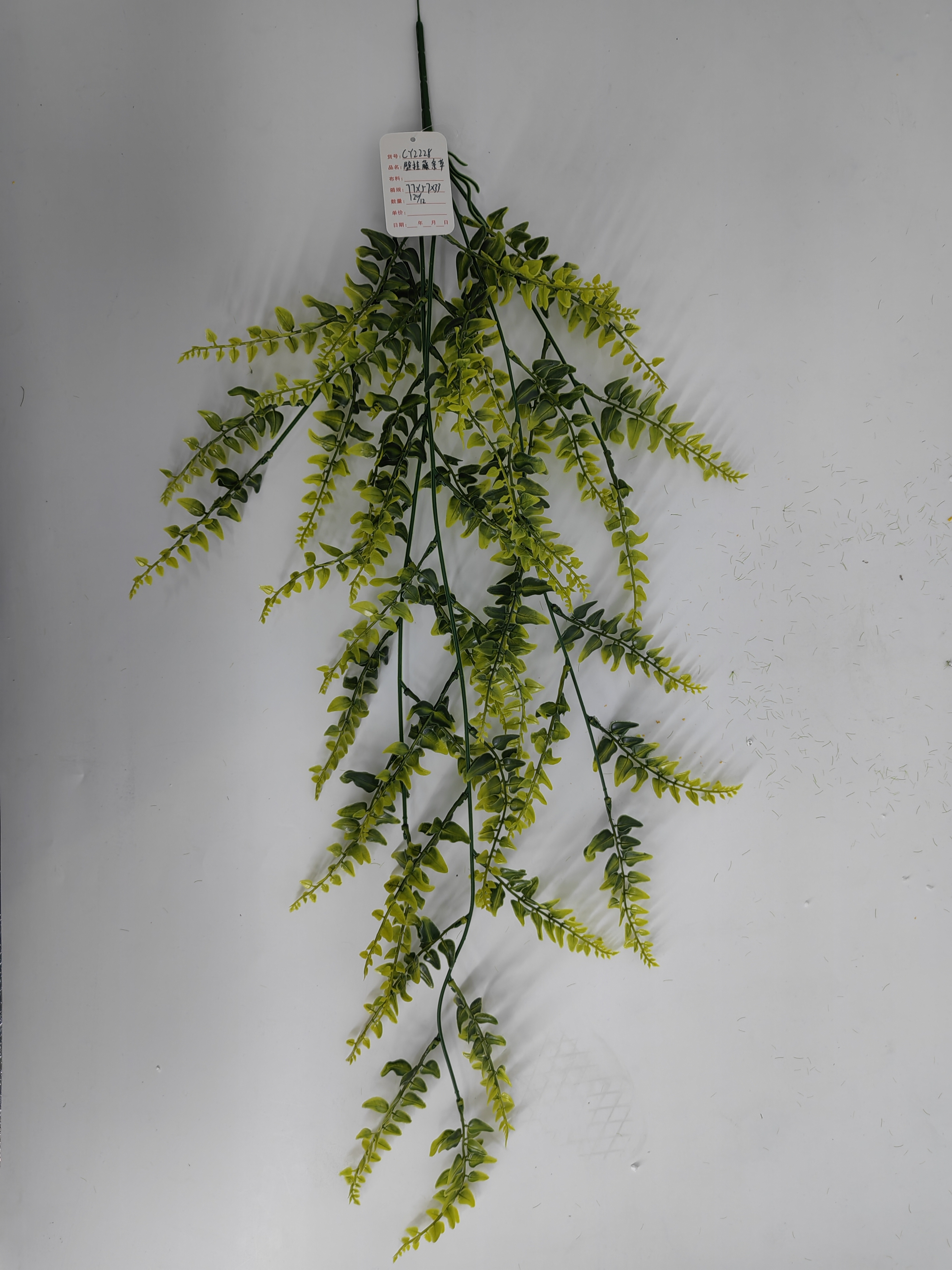 Wall hanging water plant rattan