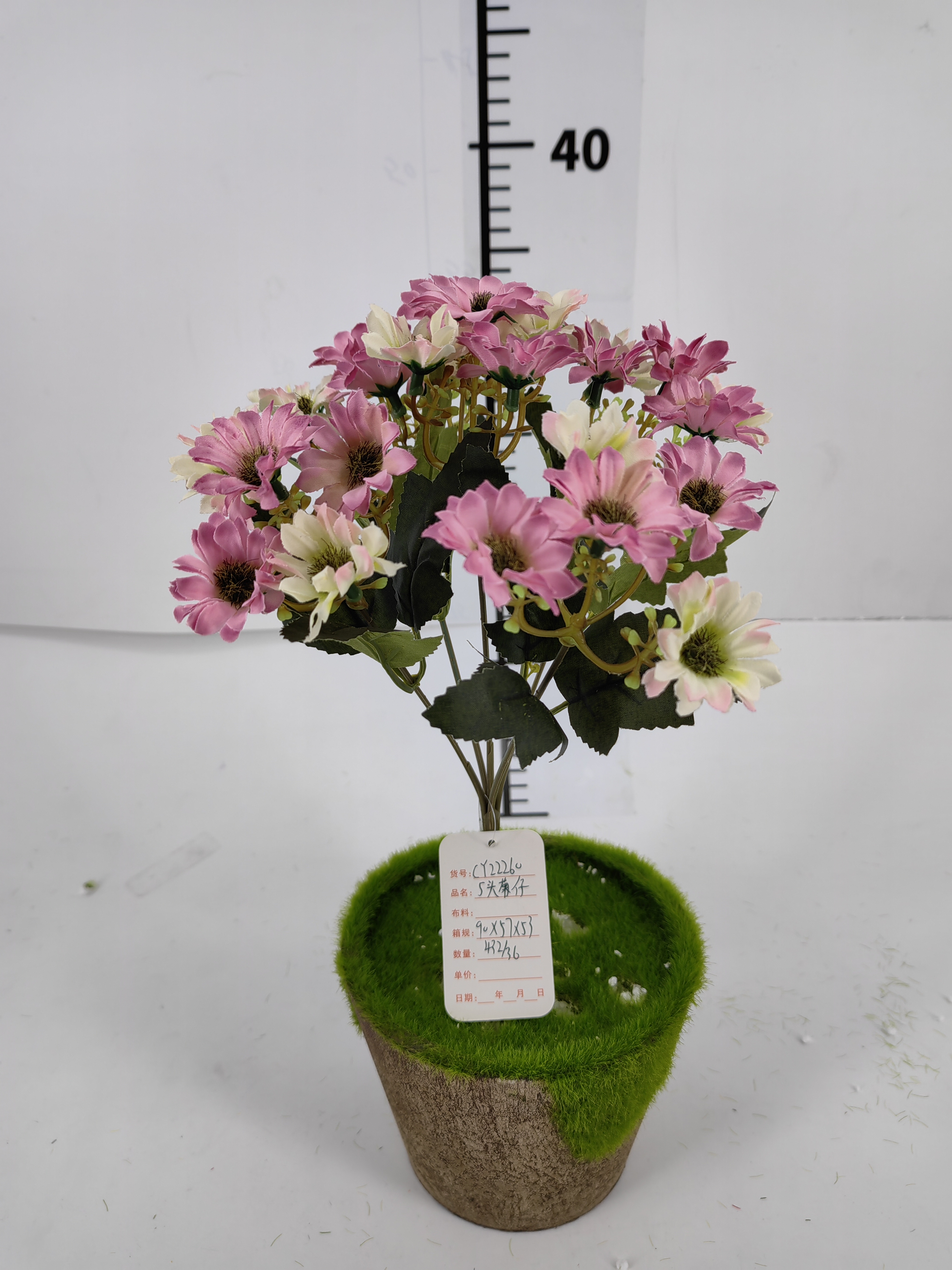 5 head chrysanthemum baby