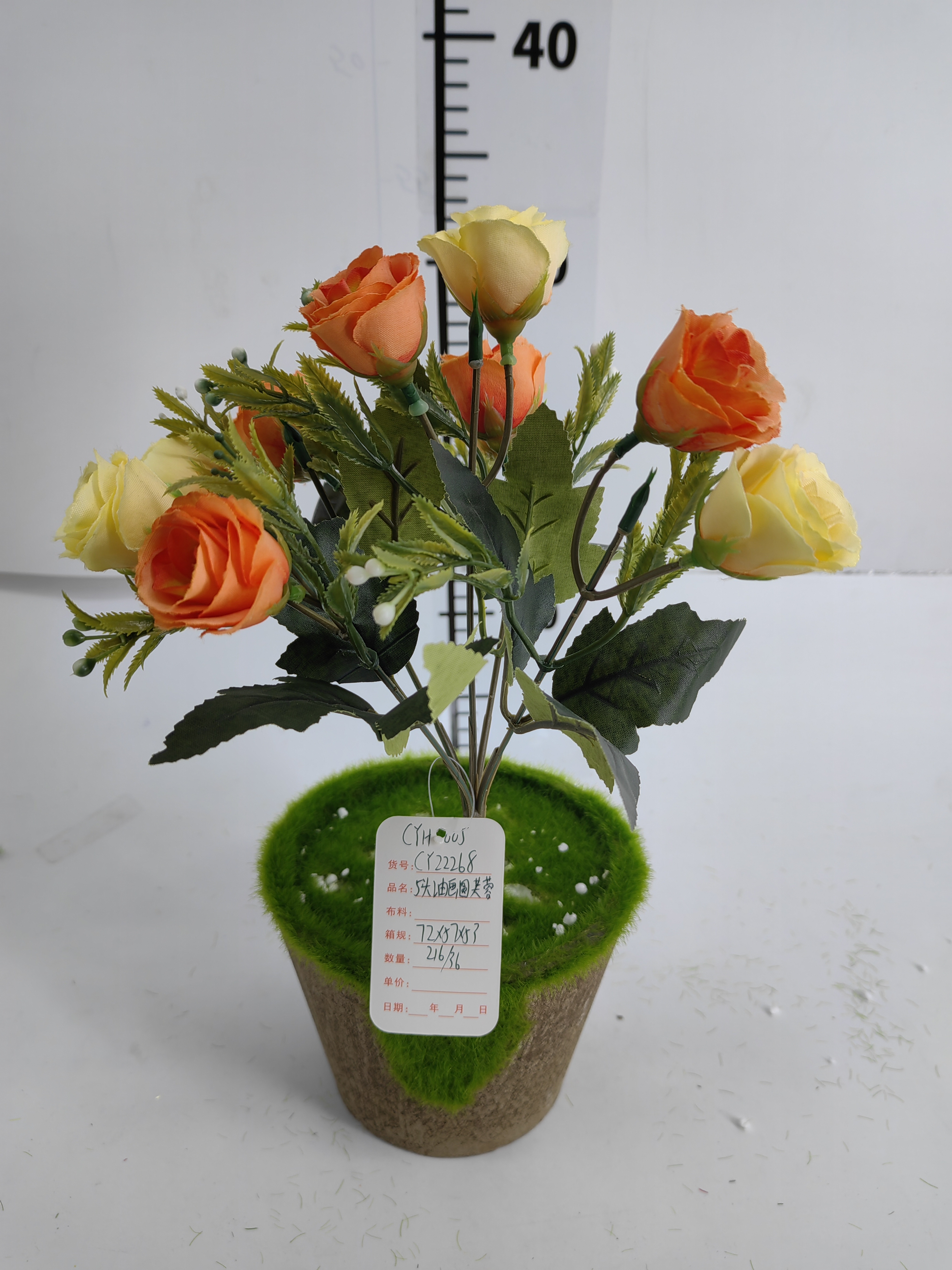 5 hibiscus flowers