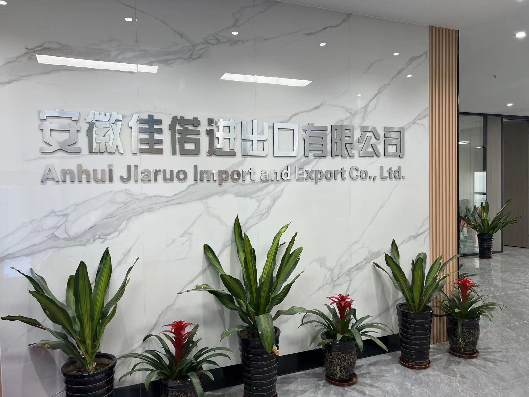 Anhui Jiarnuo Import and Export Co., Ltd. – Other medical devices 1