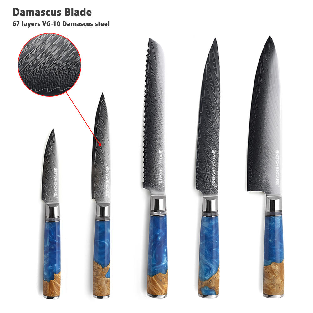 Hip-home Damascus steel VG10 67layers kitchen meat knife 5pcs knife set