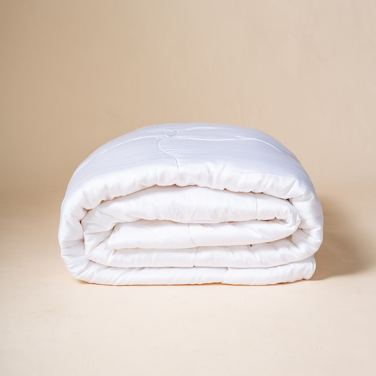 SHIJIAZHUANG ZENGCHUN TEXTILE CO.,LTD – funda de almohada 2