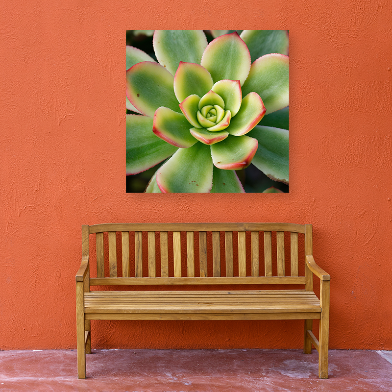 China factory outdoor canvas bright color water proof no fading for outside places great garden art