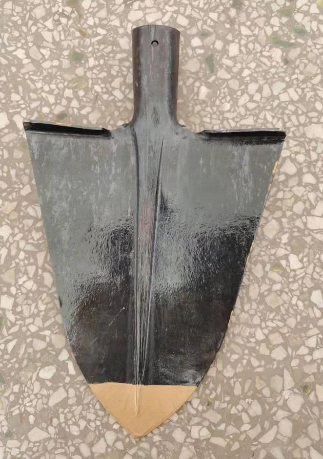 S592