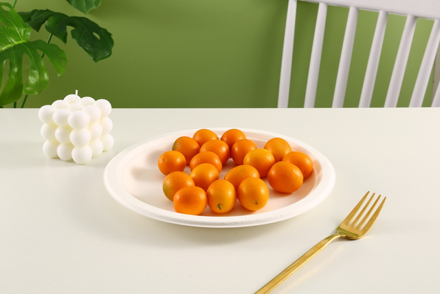 Sugarcane Plate