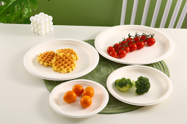 Sugarcane Plate
