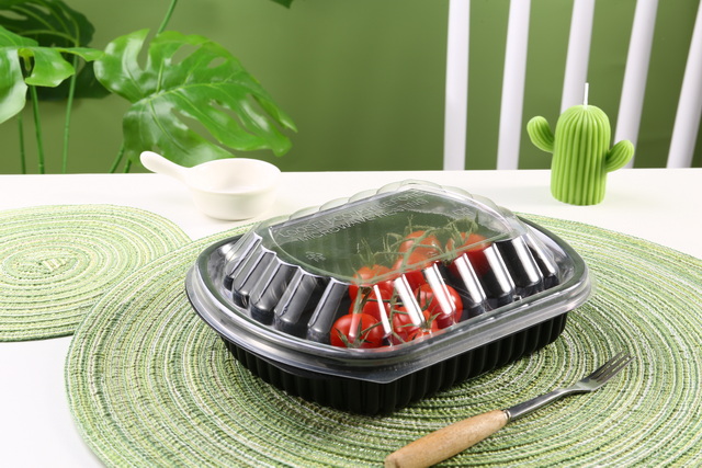 Fast Food Container