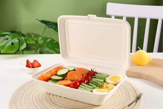 1000ml Sugarcane Lunch Box