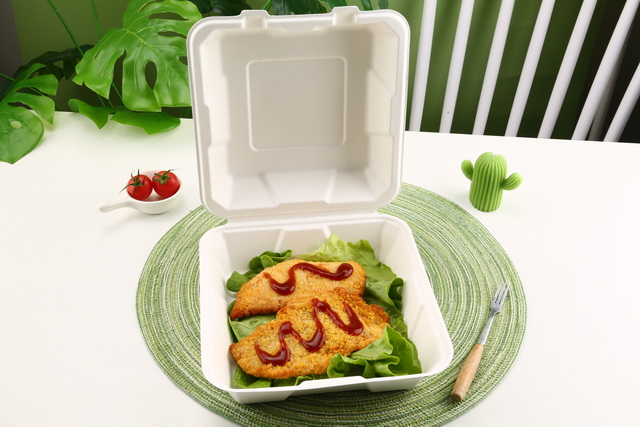 Sugarcane Lunch Box