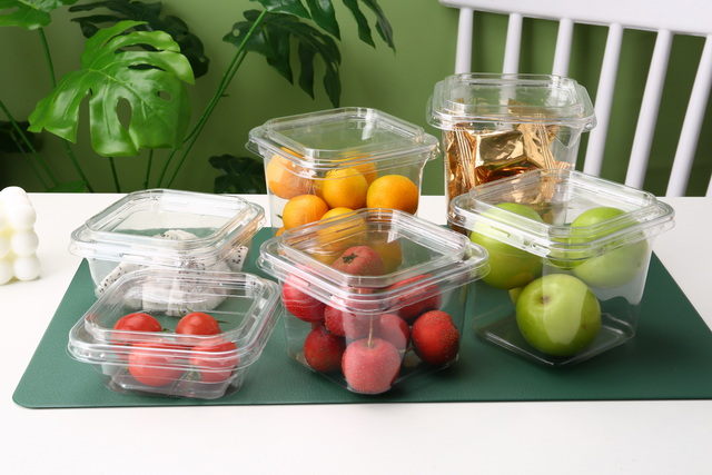 Salad Container