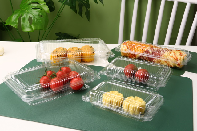 Food Container