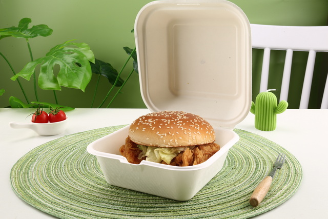 Paper Pulp Burger Box