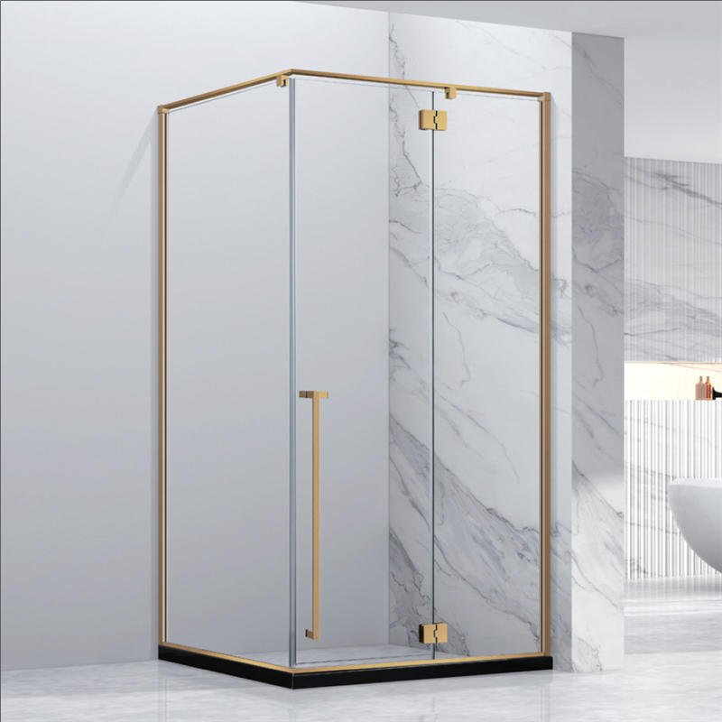 Shower door