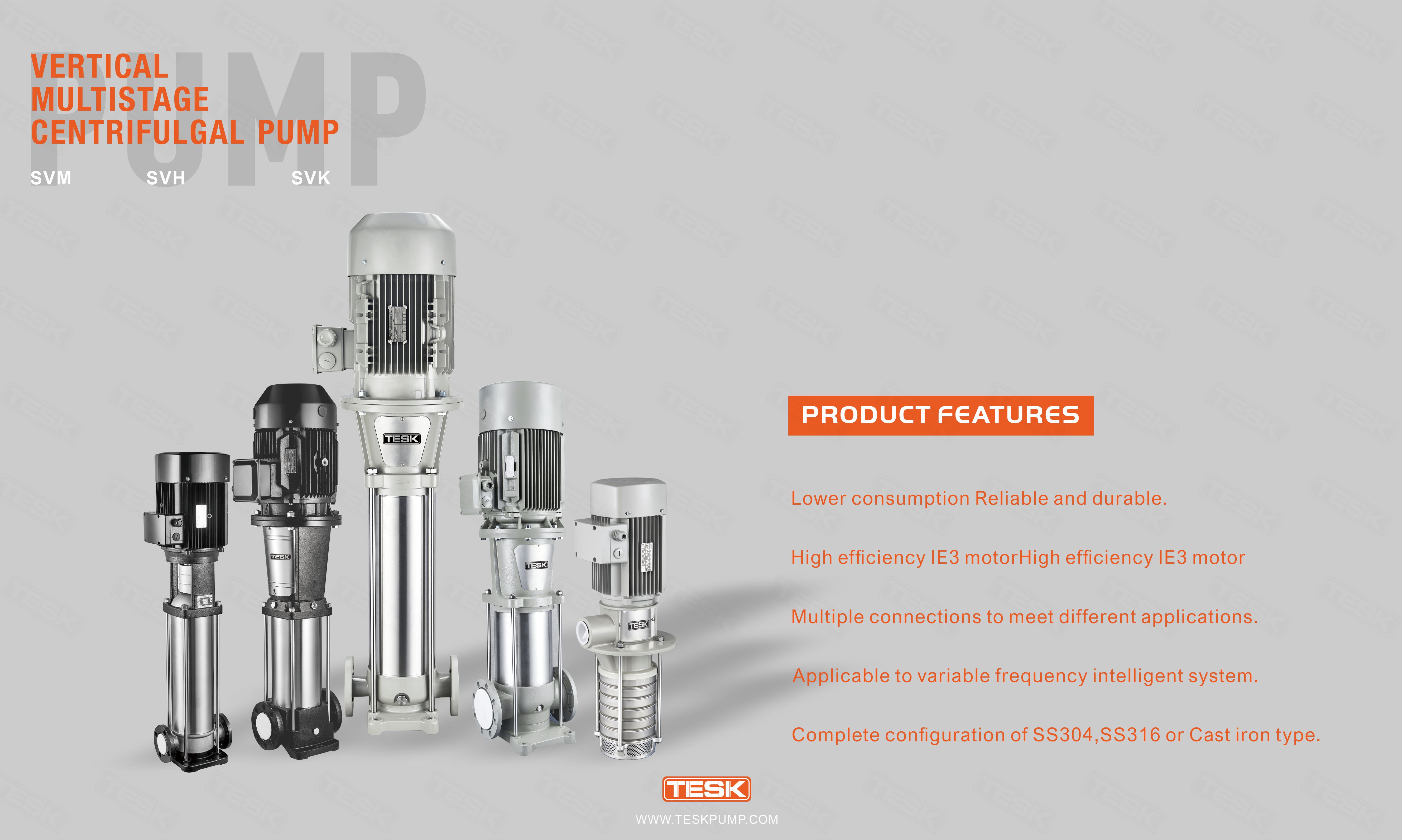 TESK SVH vertical multistage stainless steel pump