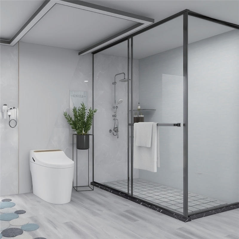 Shower door
