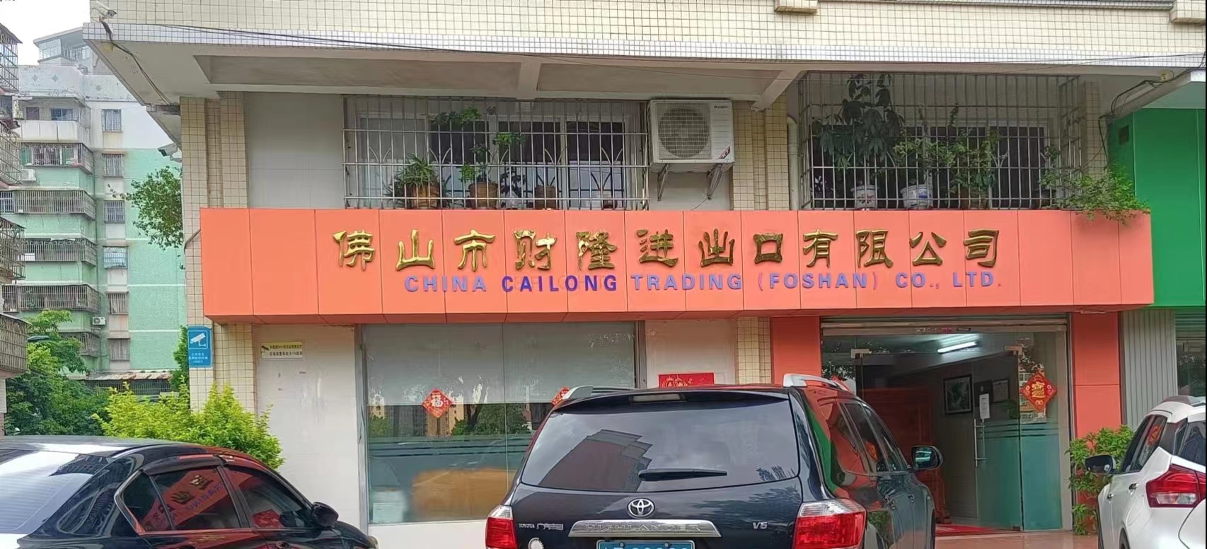 Foshan Cailong Import and Export Co., Ltd. – Other pillows 1