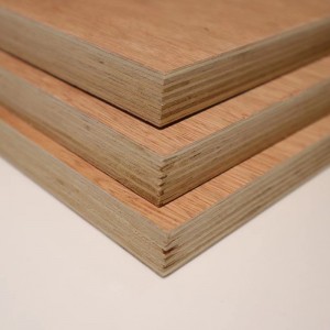 Eucalyptus Commercial Plywood