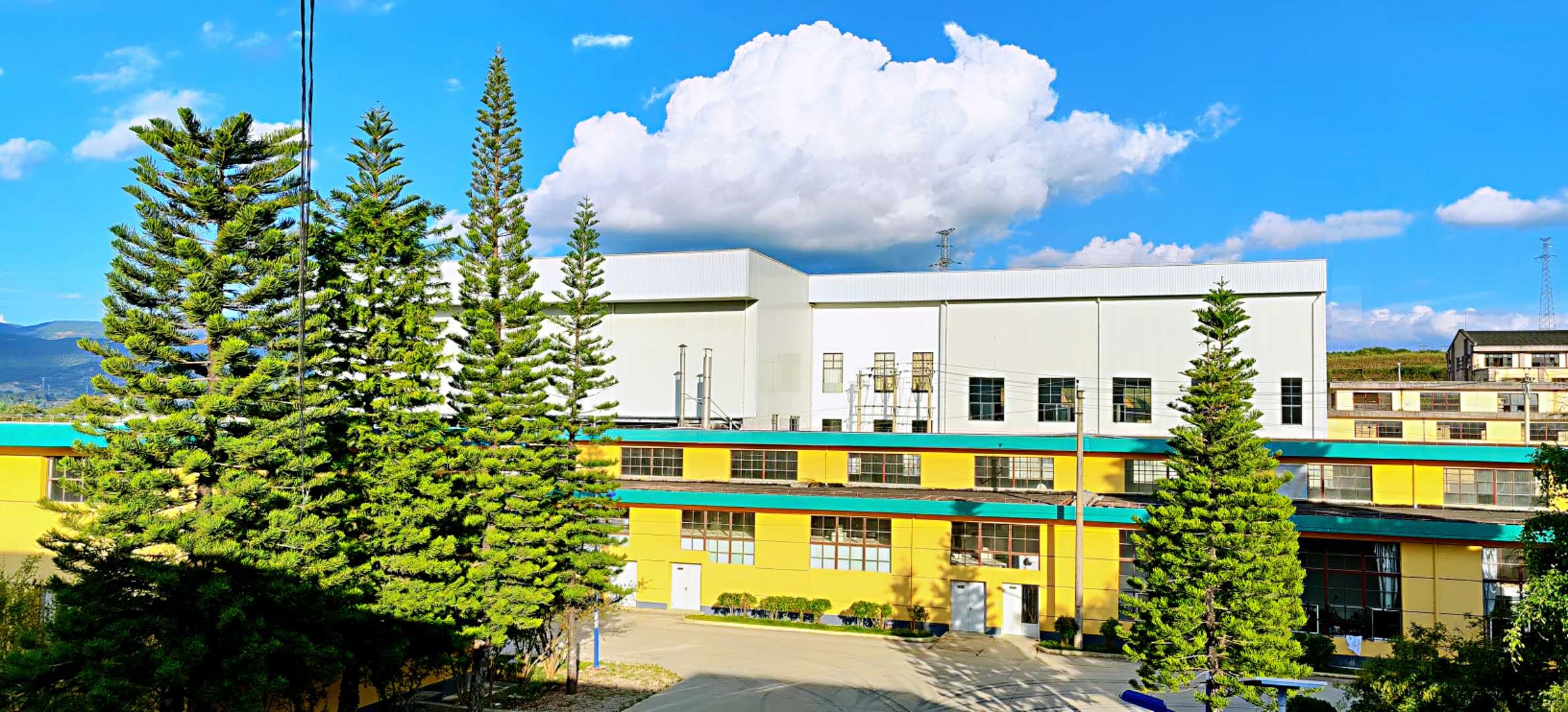 Yunnan Baoshan Zeyuan Algae Health Technology Co., Ltd. – Kelp/seaweed 1