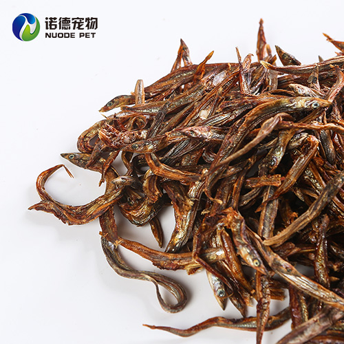 Xingtai Nuode Pet Products Co., Ltd – raqueta de tenis 2