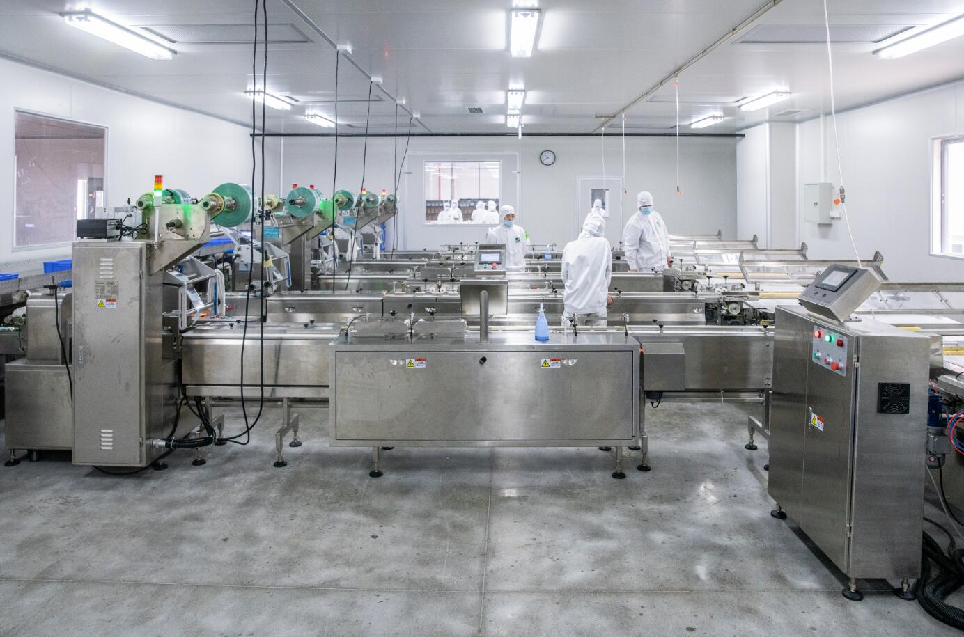 Guangdong Yuanye Food Co., Ltd. – Photos produits 3