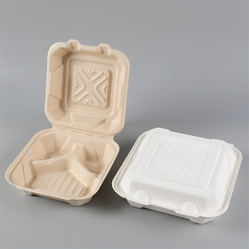 MVI ECPACK Biodegradable bagasse Pulp 8/9inch 3compartment Clamshell Food container