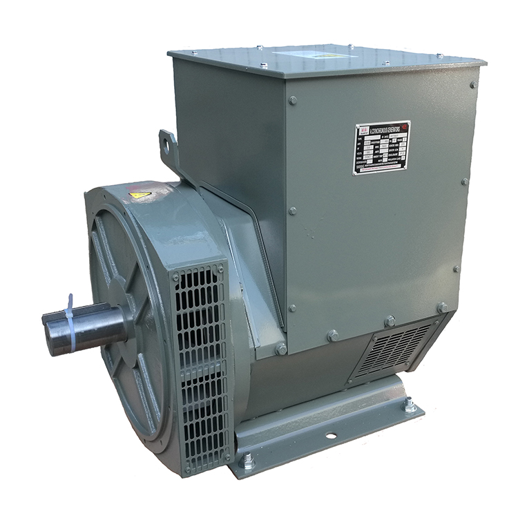 Brushless Series AC Generator