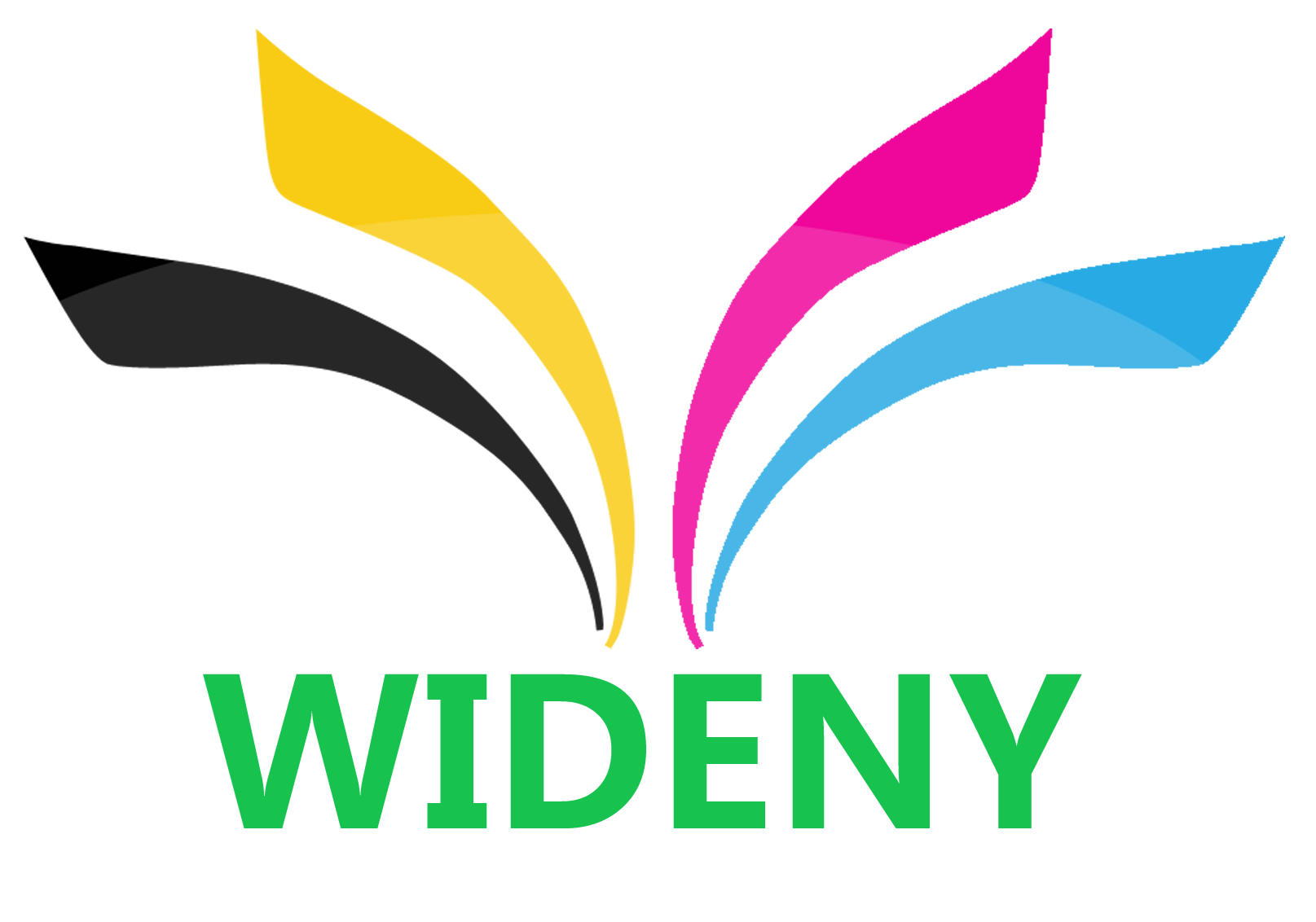 HANGZHOU WIDENY TRADING CO.,LTD