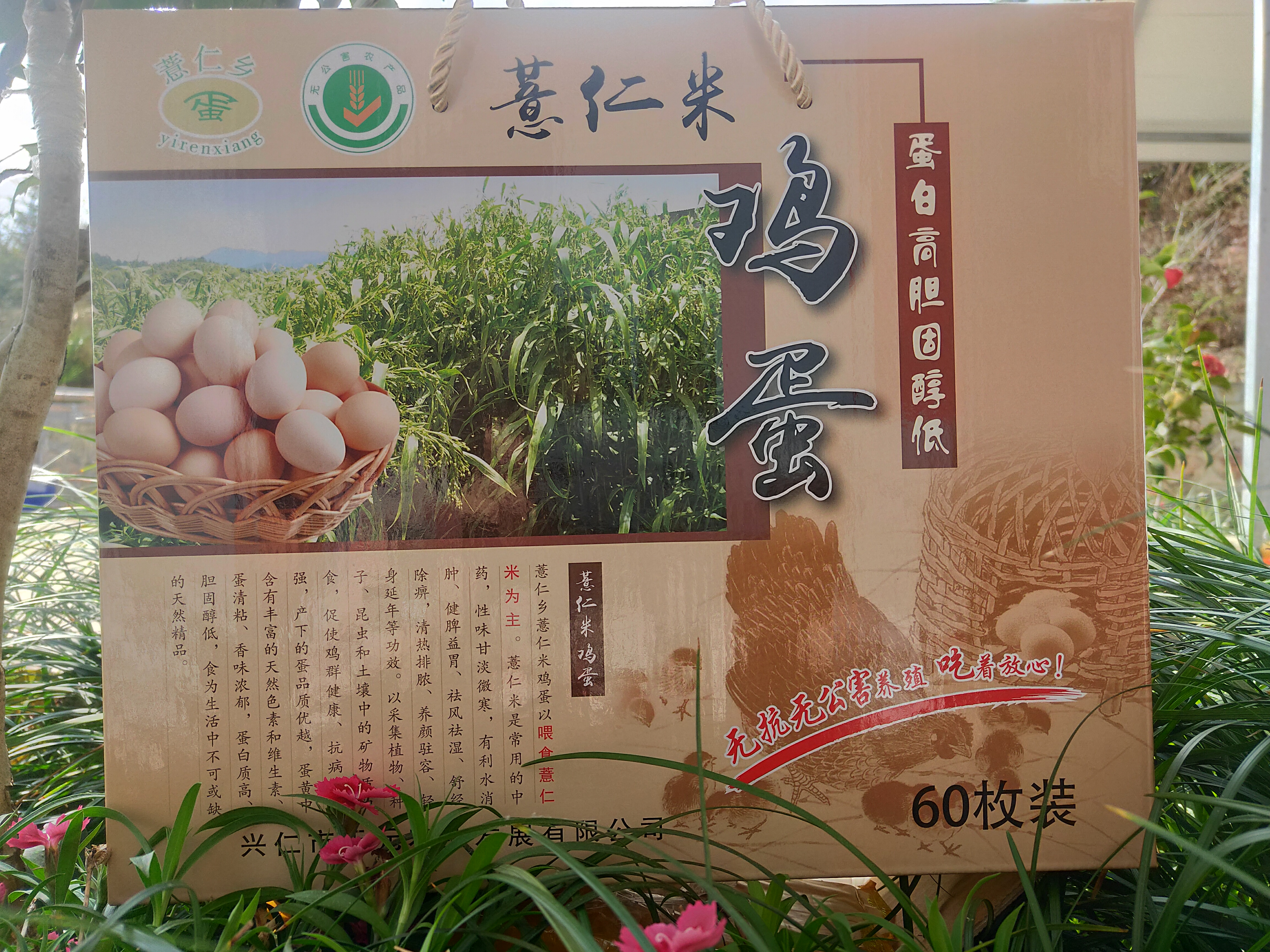 Xingrenshi Tianyuan Agricultural Development Co., Ltd. – pastilla de freno 2