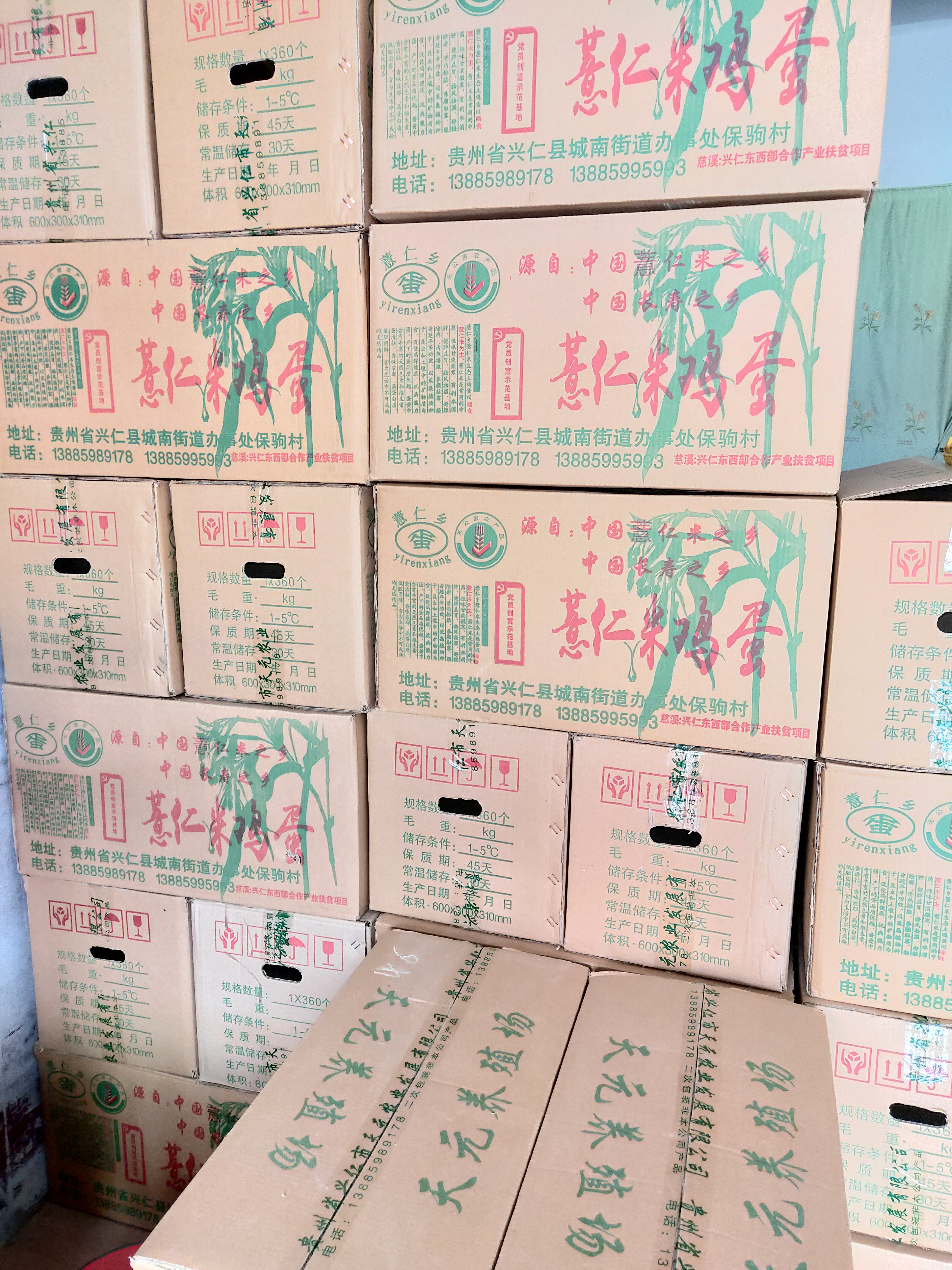 Xingrenshi Tianyuan Agricultural Development Co., Ltd. – bujía de encendido 3