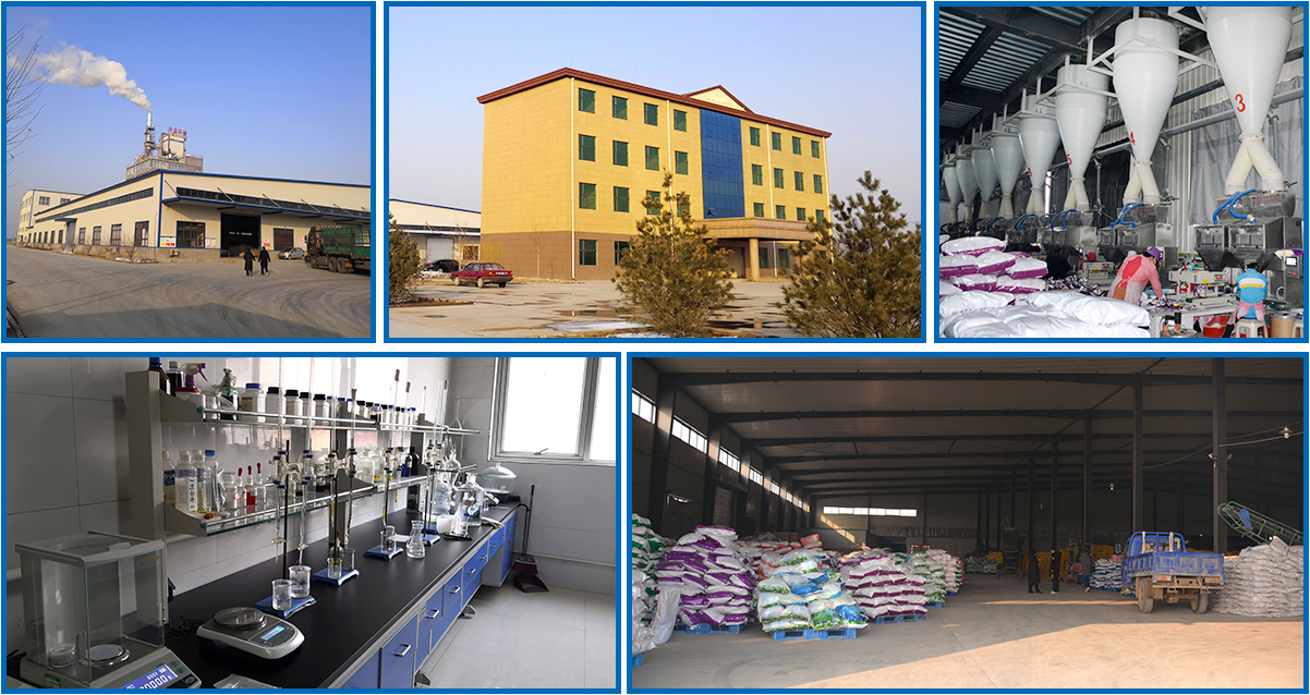Hebei Yurui Chemical Co., Ltd. – other laundry products 2