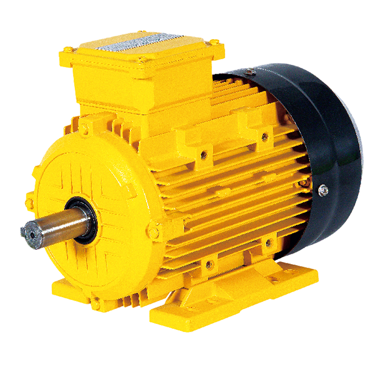 Qsupertata Msseries Three-Phase Motor